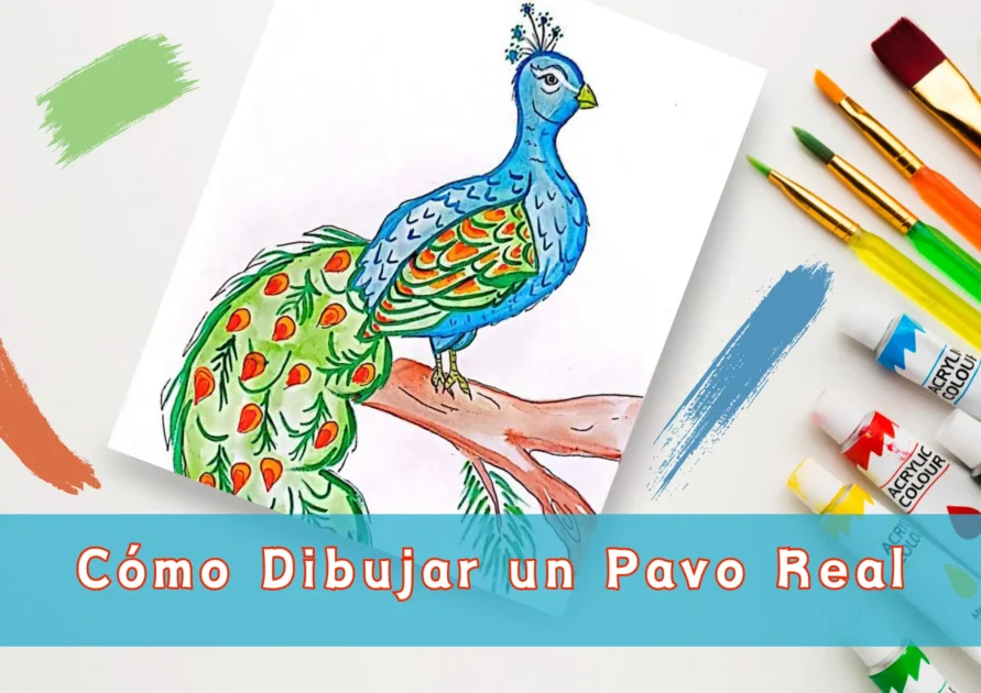 C Mo Dibujar Un Pavo Real Paso A Paso C Mo Mimi Panda