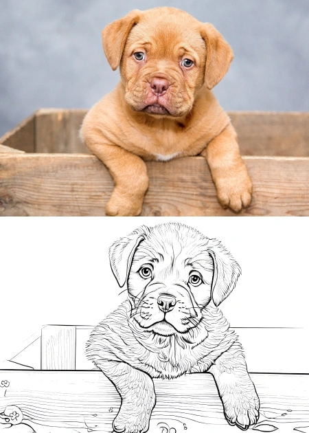 Dierenkleurplaten