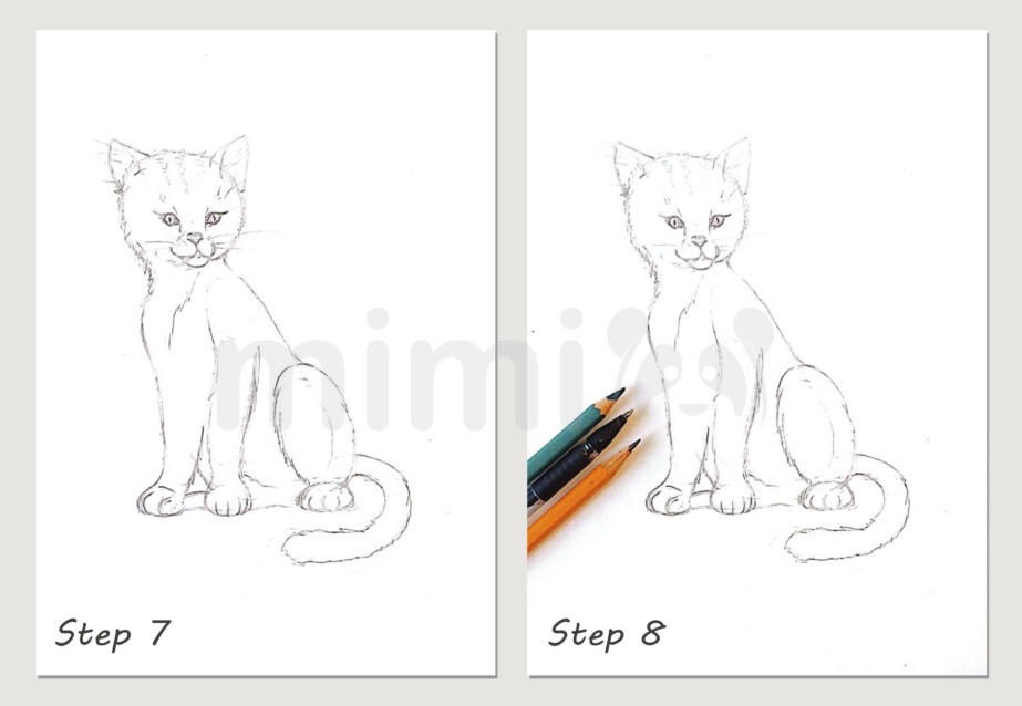 Cat Drawing Step By Step Tutorial Mimi Panda Cat Drawing Step By Step Tutorial Mimi Panda