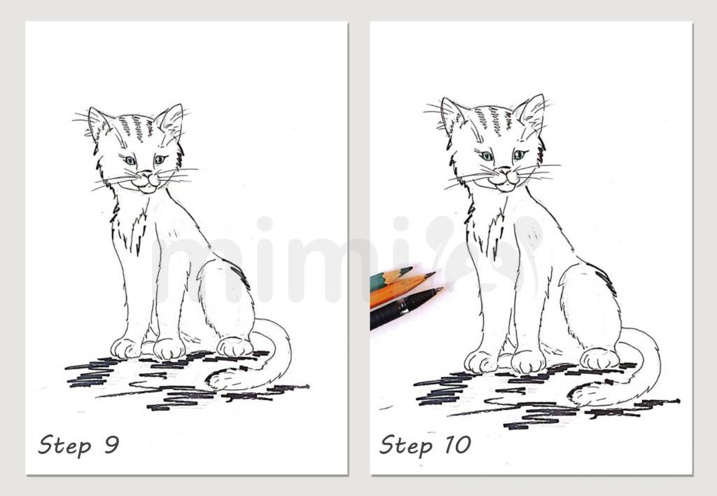 collage cat realistic step 9 and 10