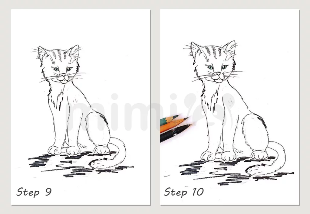 How to Draw a Realistic Cat Step-by-step - Udemy Blog