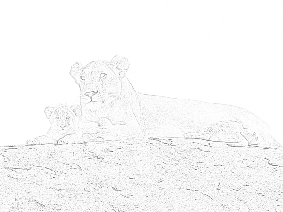 Lioness with Cub Coloring Page