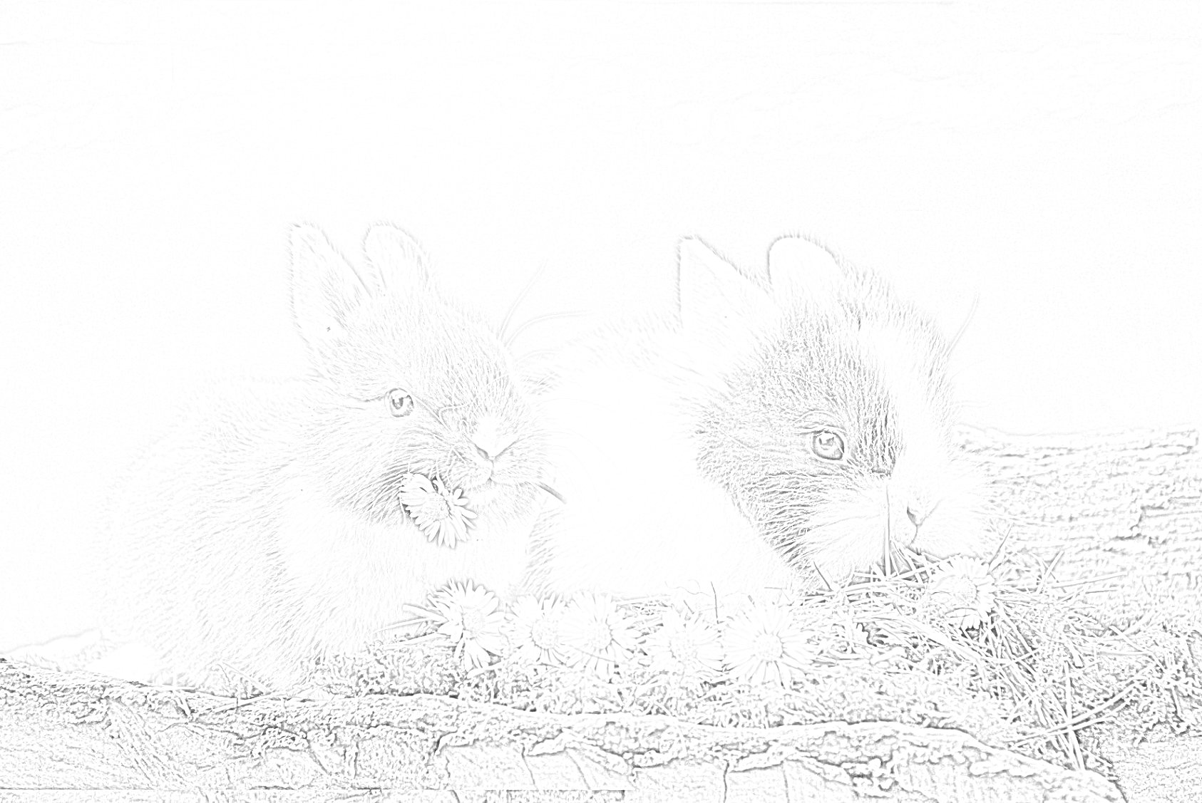 Two Little Bunnies Coloring Page