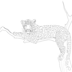 Leopard on a tree - Printable Coloring page