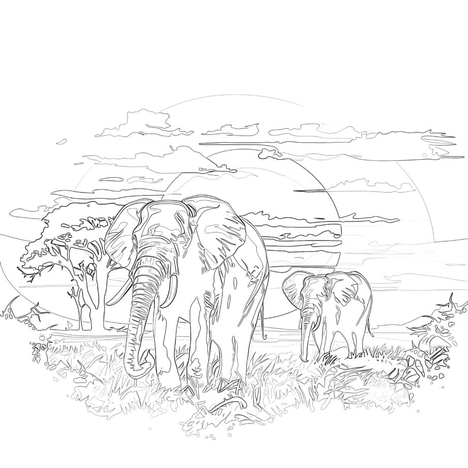Eléphants Dans la Savane Page à Colorier