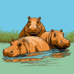 Hippopotames Page à Colorier 2 2