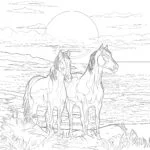 horses coloring page