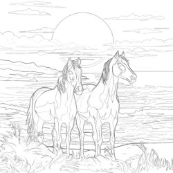 Horses - Printable Coloring page