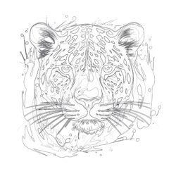Leopard - Printable Coloring page