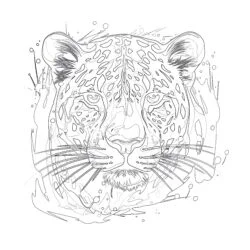 Leopard Coloring Page - Printable Coloring page