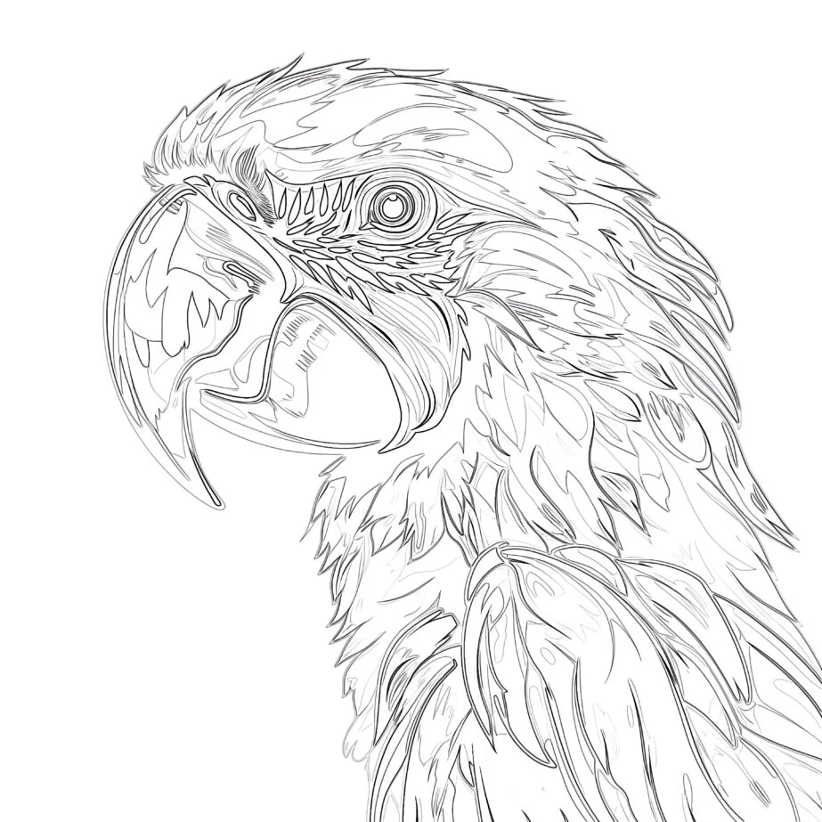 blue macaw coloring page