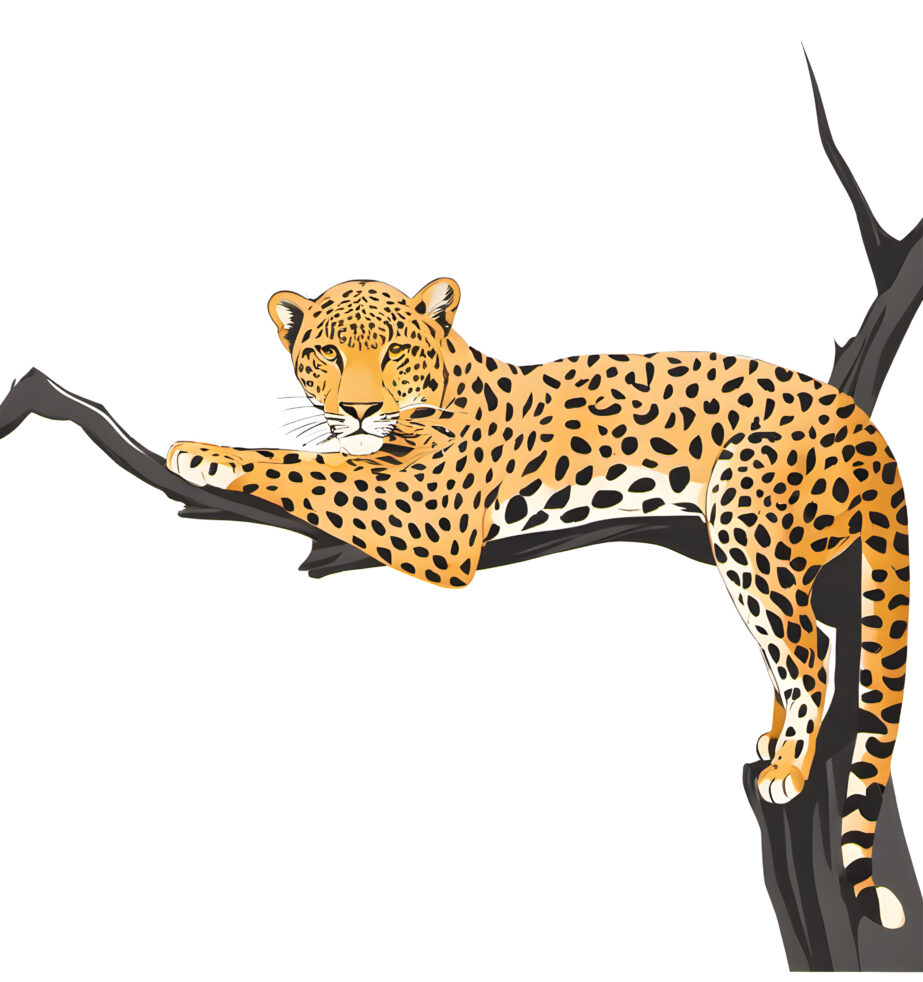 Leopard on a tree coloring page - Mimi Panda