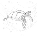 Tortue Page à Colorier