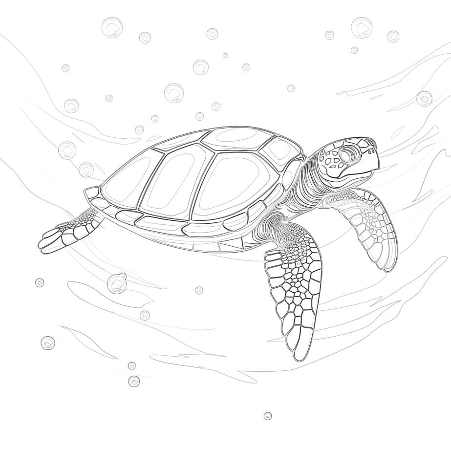 Turtle - Coloring page