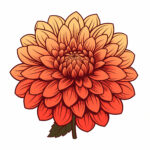 Dahlia Flower Coloring Page 2