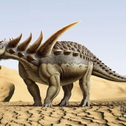 Parasaurolophus - Origin image