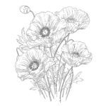 Poppy Flowers Coloring Page