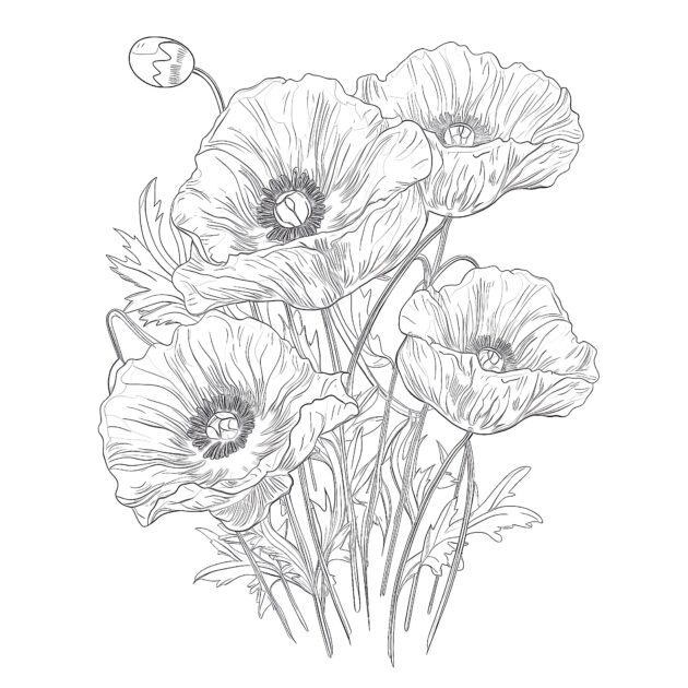 Printable Poppy Flowers Coloring Page - Mimi Panda