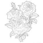 Roses Coloring Page