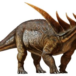 Tyrannosaurus Rex Head - Origin image