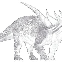 Sauropelta Dinosaur - Printable Coloring page