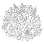 Succulents Coloring Page