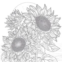 Sunflowers Coloring Page - Printable Coloring page