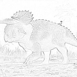Pachyrhinosaurus - Coloring page