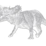 Nasutoceratops Coloring Page