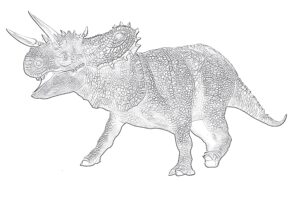 Nasutoceratops Coloring Page
