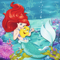 Ariel  mermaid - Origin image