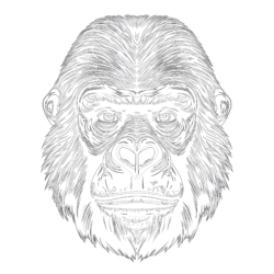 Gorilla - Printable Coloring page