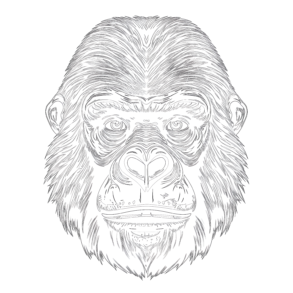 Gorilla - Coloring page
