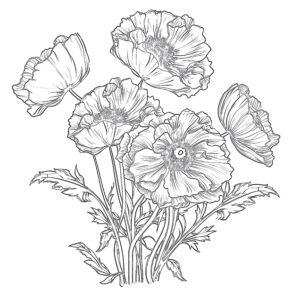Blue Poppy Coloring Page