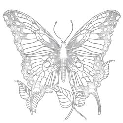 Papillon Page à Colorier - Page de coloriage imprimable
