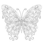 Butterfly Coloring Pages for Adults