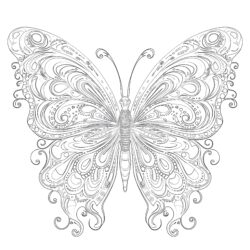 Butterfly Coloring Pages for Adults - Printable Coloring page