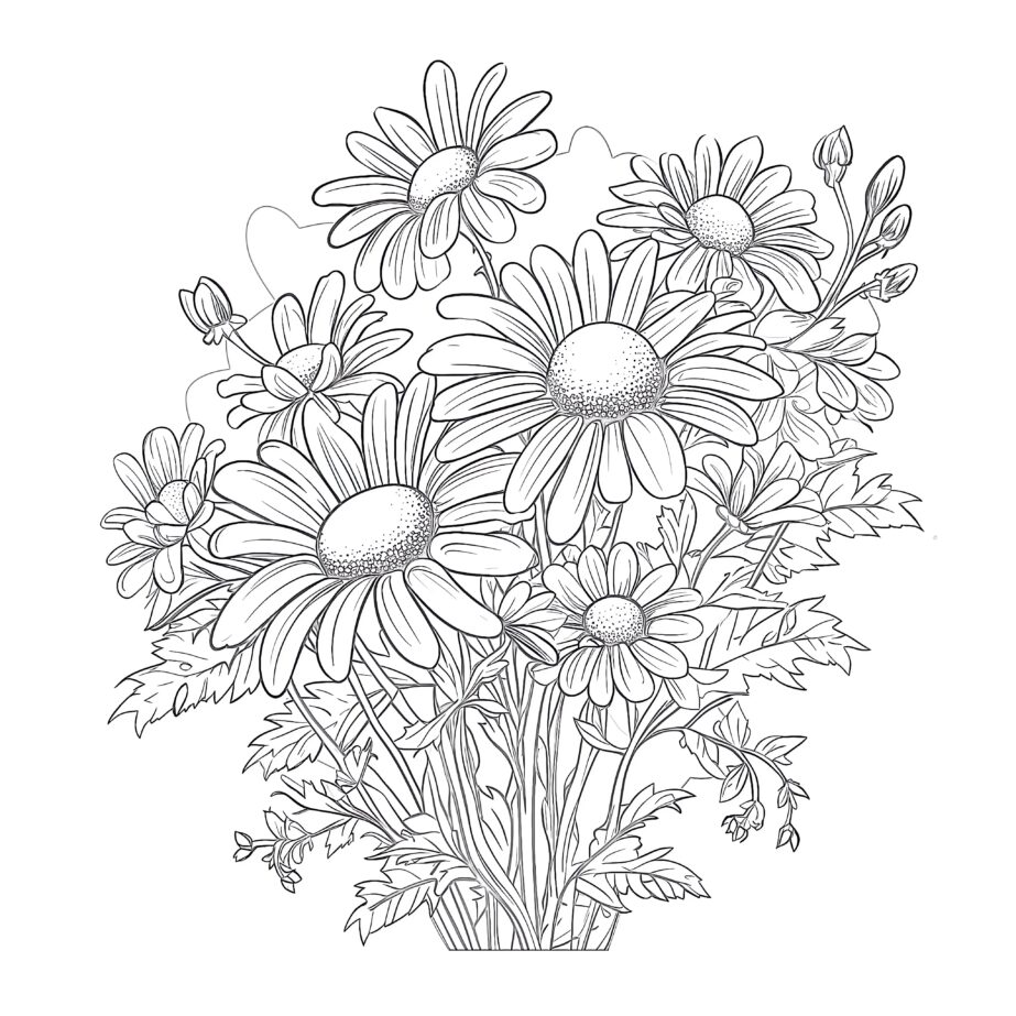 Chamomile Coloring Page