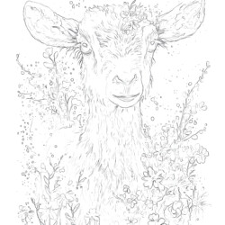 Lamb - Printable Coloring page