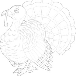 Turkey - Printable Coloring page