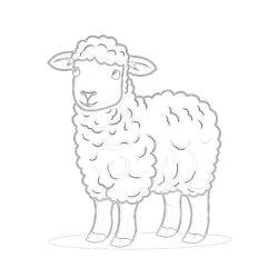 Sheep - Printable Coloring page