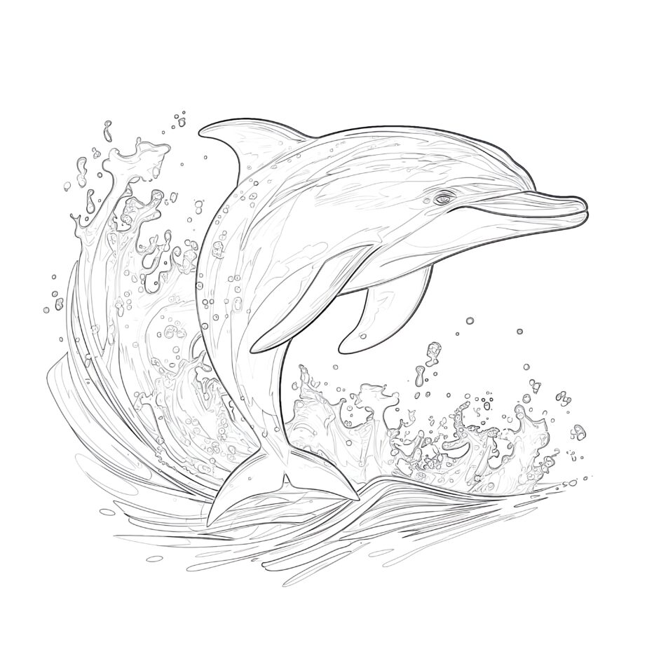 Delfín Página Para Colorear