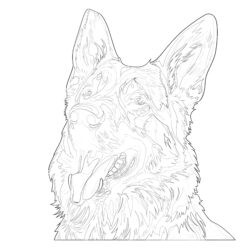 German Shepherd - Printable Coloring page