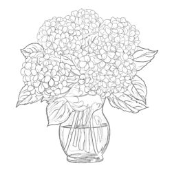 Hydrangea Flower - Printable Coloring page