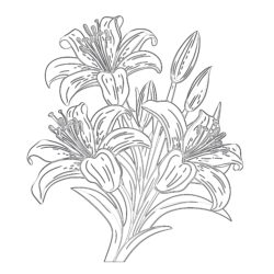 Lily - Printable Coloring page