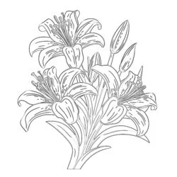 Lily Coloring Page - Printable Coloring page