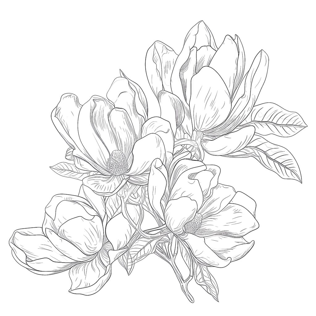 Printable Magnolia Coloring Page - Mimi Panda