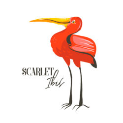 Scarlet Ibis - Origin image
