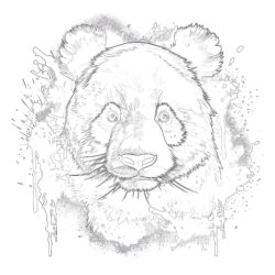 Panda Page à Colorier - Page de coloriage imprimable