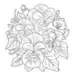 Pansy Coloring Page